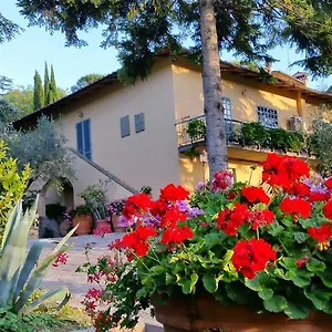 *** Bed & Breakfast Ulivi Di Castello Italia